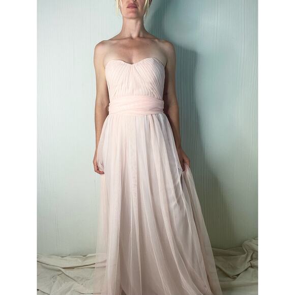 BIRDY GREY Christina Tulle Gown in Blush Pink NWT US XS - Picture 1 of 15